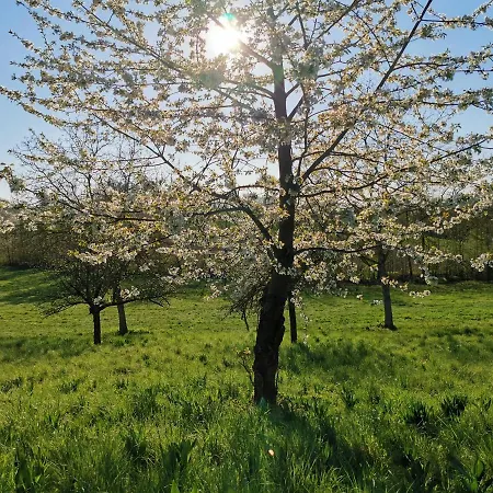 Appartement Fernwohl