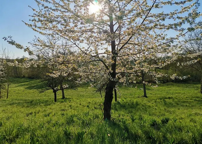 Апартаменты Fernwohl